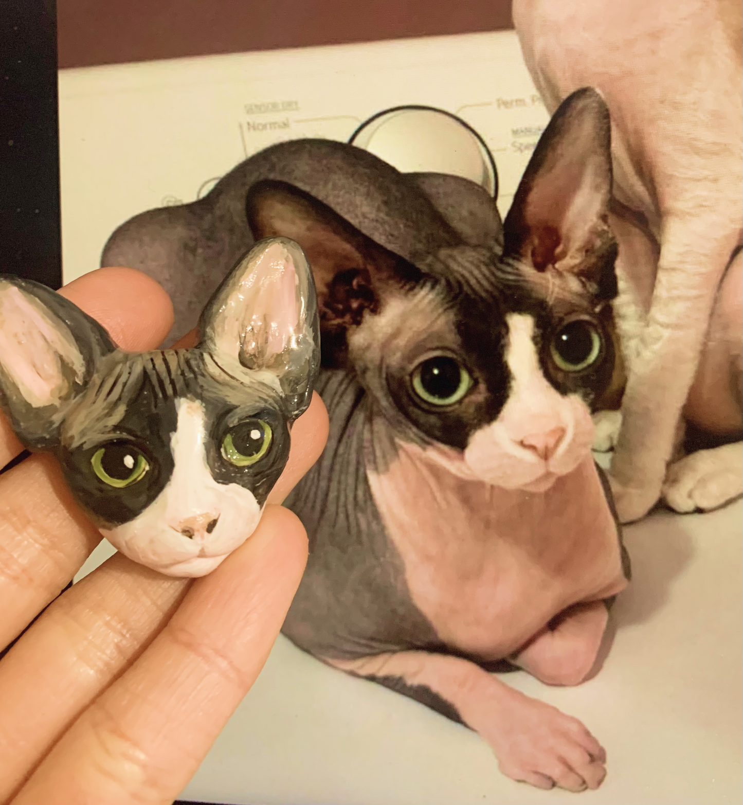 Personalized Pet Magnet Indigopearl